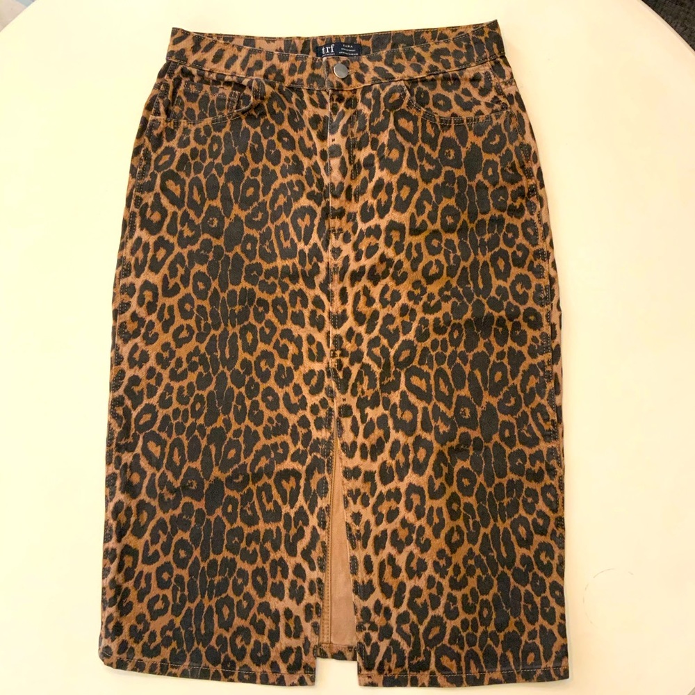 Leopard Zara skirt.